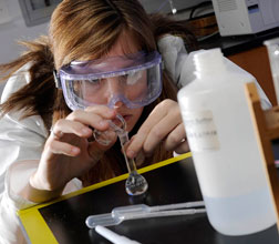 Elon University academics