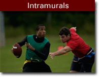 Intramurals Graphic Link