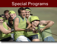 Special Programs Graphic Link