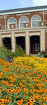 Moseley Center in Fall
