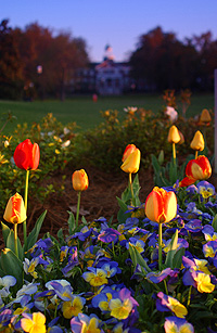 Spring at Elon