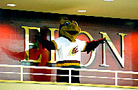 Alumni Gym 2