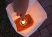 Luminaria