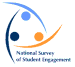 NSSE logo
