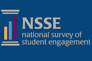 NSSE logo
