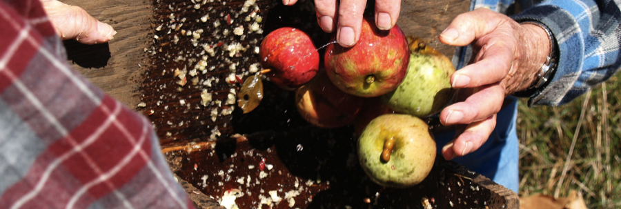 Apple pressing in Cowee, NC 2008 as part of research conducting through PERCS. Photo credit Kirsten Rhodes.