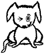 Spot
