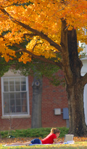 Student studying under tree