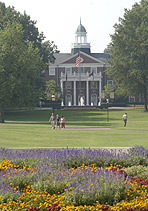 Photo of Young Commons and Alamance Building in the background.