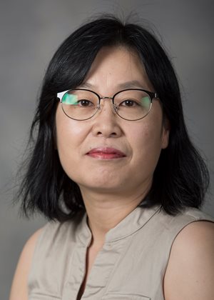 Headshot of Insuk Shim