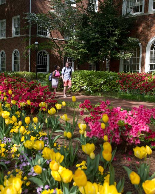 Elon University / About