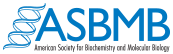 ASBMB logo