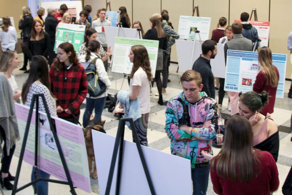 Large group of people looking at many different student research posters.